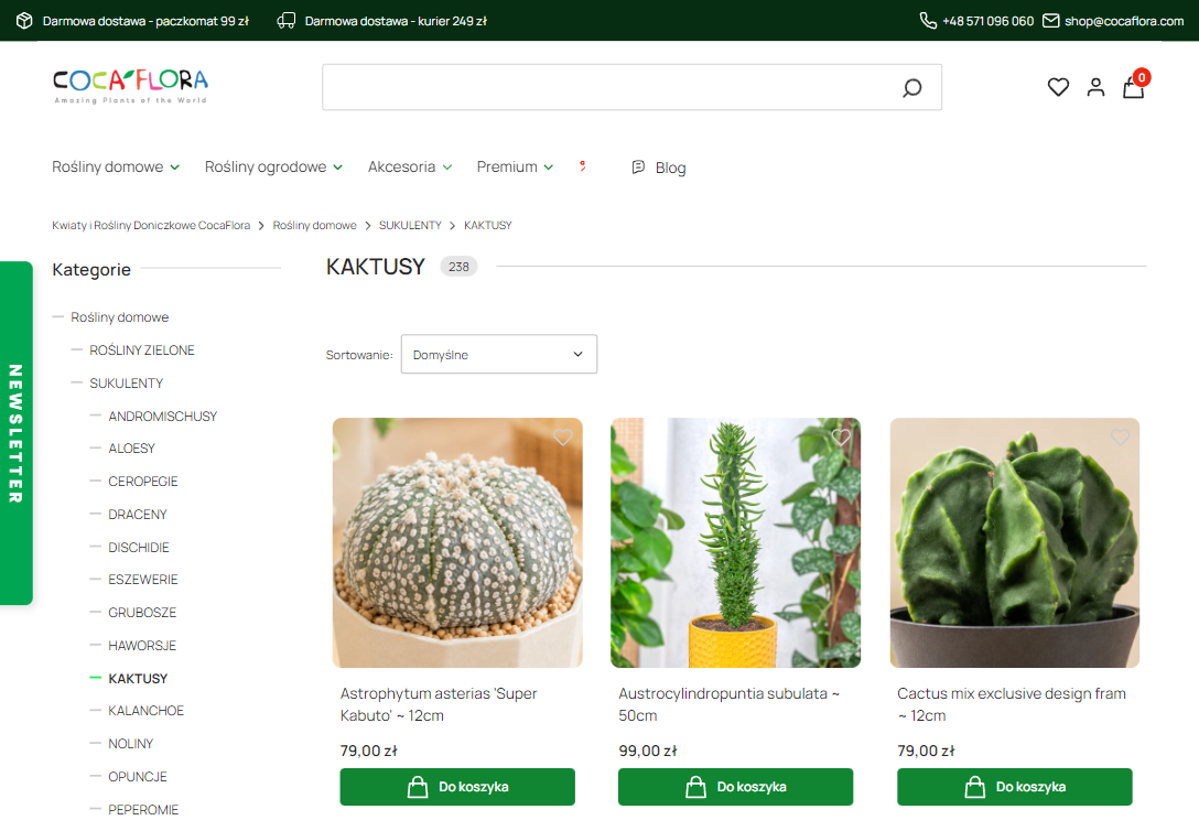 Dlaczego kaktusy miękną, marszczą się lub nie kwitną?